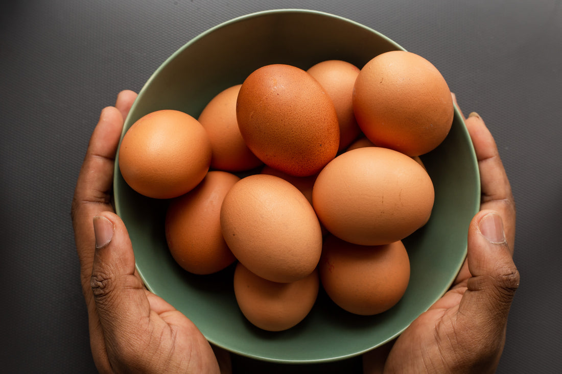 5 Egg Recipes For Summer 2023!